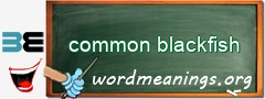 WordMeaning blackboard for common blackfish
